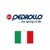 Pedrollo (145)